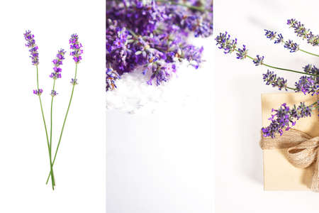 Lavender flowers and natural soap for bodycare on concrete background. Flat lay, top view. Copy space. Beauty collage.の写真素材