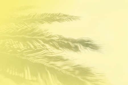 Palm leaf shadows on a white sand on tropical beach. Trendy holiday concept. Selective focus. Yellow toned.の写真素材