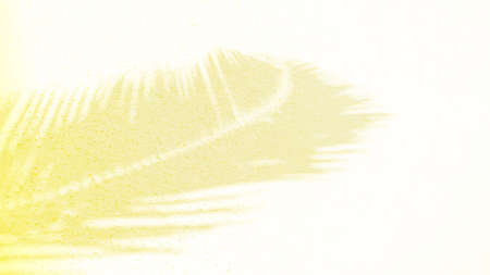 Palm leaf shadows on a white sand on tropical beach. Trendy holiday concept. Selective focus. Yellow...
