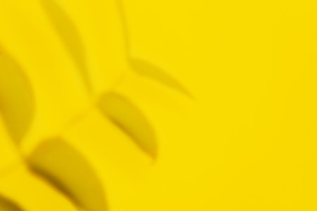 Abstract bright illuminating yellow and gray colours on tropical leaves background. Trendy colors of the year 2021 - Gray and Yellow.の写真素材