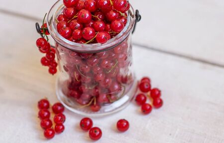 Fresh red currant on a light wooden backgroundの写真素材