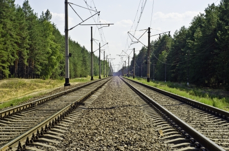 Railway, passing through a pine-wood and get-away over-the-horizon の写真素材