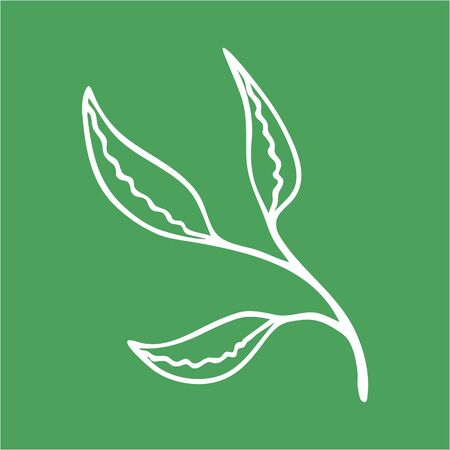 doodle line art leaf kids hand drawing, spring, summer or autumn symbol, outline vector illustrationのイラスト素材