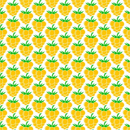 Raspberries or cloudberry pattern. Berry, fruit. Foof vector illustration.のイラスト素材