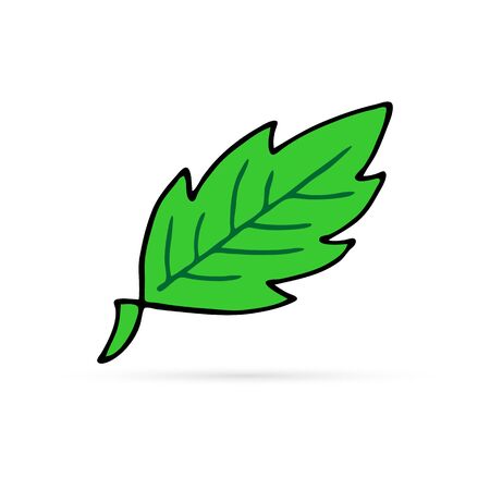 doodle leaf icon, art line, kids hand drawing vector illustrationのイラスト素材