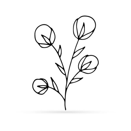 doodle flower cotton icon, kids hand drawing line art, vector illutrationのイラスト素材