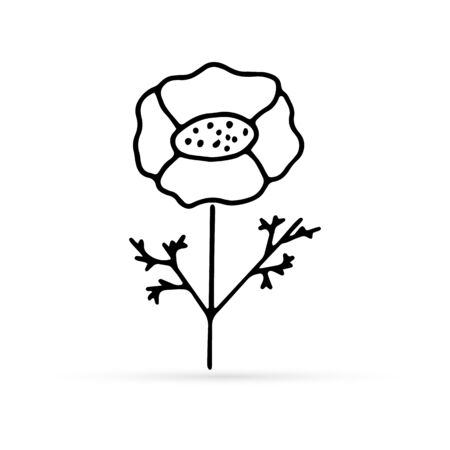 doodle poppy with leaf, flower icon, kids hand drawing lne art, vector illustrationのイラスト素材