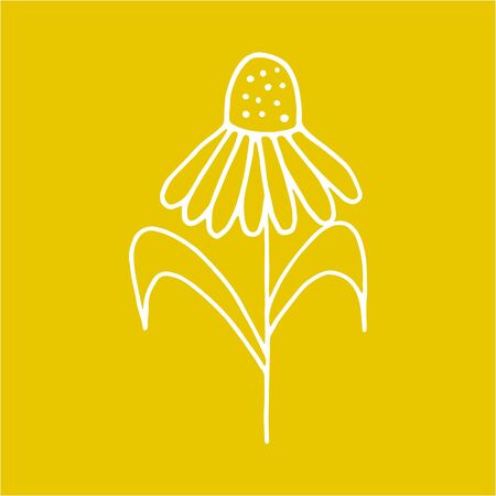 doodle flower icon, kids hand drawing line art camomile, vector illustrationのイラスト素材