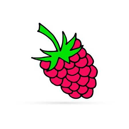 Raspberries icon. Berry isolated on white. Fruit collection. outline vector illustration.