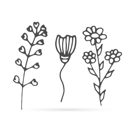 doodle flowers set icon isolated on white, outline kids hand drawing line art camomole, shepherds bag for eco design, coloring sketch collection, flower vector stockのイラスト素材