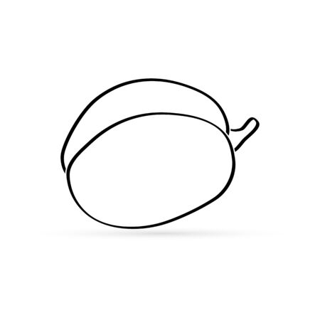 outline apricot or peach icon isolated on white, sketch fruit art line, coloring vector stock illustrationのイラスト素材