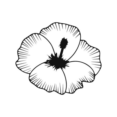 Doodle flower icon isolated on white. Sketch flower. Coloring page book. Hand drawing line art. Outline vector stock illustration. EPS 10のイラスト素材