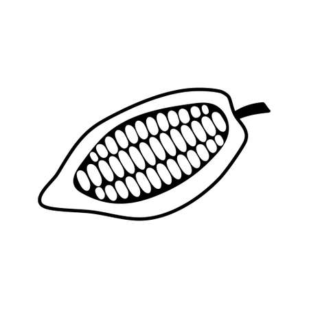 Doodle cocoa icon isolated on white. Hand drawing line art. Chocolate food. Sketch vector stock illustration. EPS 10のイラスト素材