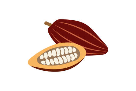 Doodle cocoa icon isolated on white. Chocolate food. Vector stock illustration. EPS 10のイラスト素材