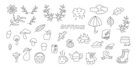 Doodle autumn set icon isolated on white. Hand drawing line art. Sketch mushroom, olive, umbrella, pumpkin etc.のイラスト素材