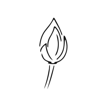Doodle flower lotus icon isolated on white. Hand drawing line art. Sketch vector stock illustration. EPS 10のイラスト素材