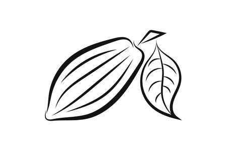 カカオポッドの写真 イラスト素材一覧 7 418件 ストックフォトのamanaimages Plus