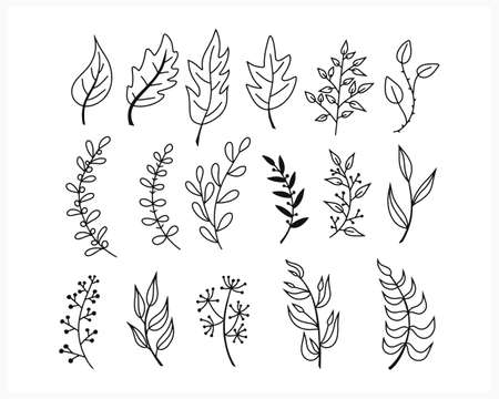 Doodle branch set with leaves icon isolated on white.Hand drawing art line. Sketch vector stock illustration.のイラスト素材