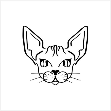 Doodle cat icon isolated on white. Outline hand drawing art line.のイラスト素材