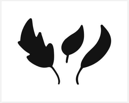 Doodle leaf icon isolated on white. Syencil Vector stock illustration. EPS 10のイラスト素材