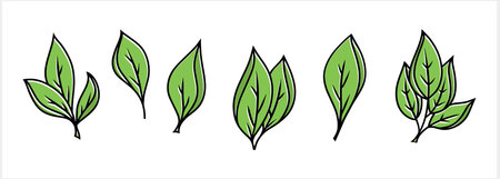 Doodle branch with leaf icon isolated. Sketch leaf clipart Vector stock illustration. EPS 10のイラスト素材