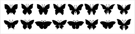 Doodle butterfly icon. Hand drawn line art. Engraving insect animal. Vector stock illustration. EPS 10のイラスト素材