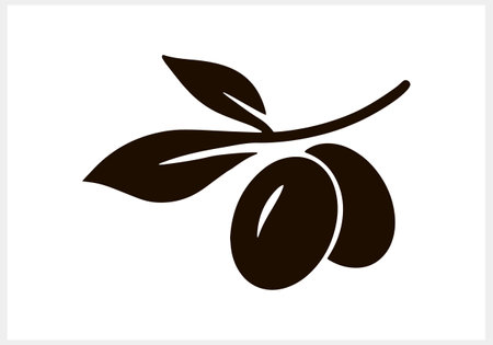 Olive clipart. Branch with leaf and fruit isolated. Stencil Vector stock illustration. EPS 10のイラスト素材