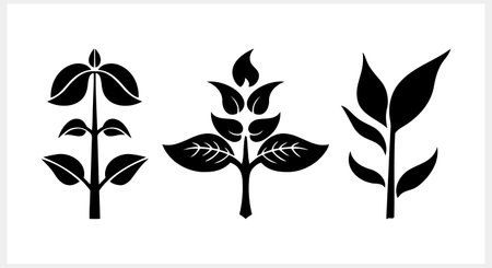 Doodle leaf icon isolated. Stencil clipart Vector stock illustration. EPS 10のイラスト素材