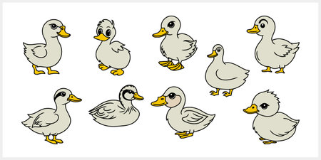 Doodle duck clip art isolated. Hand drawn animal bird icon. Vector stock illustration. EPS 10のイラスト素材