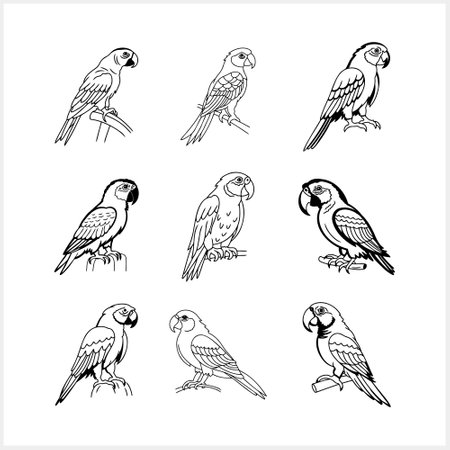 Black and white coloring pages Animals parrot icon T-shirt print, tattoo design Vector stock illustration EPS 10のイラスト素材