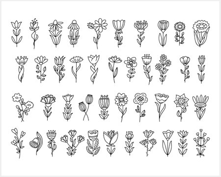 Flower clipart isolated. Cartoon sketch icon. Vector stock illustration. EPS 10のイラスト素材