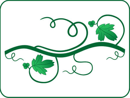 Vector illustration of a vine wiht grapes. Natural ornament.のイラスト素材