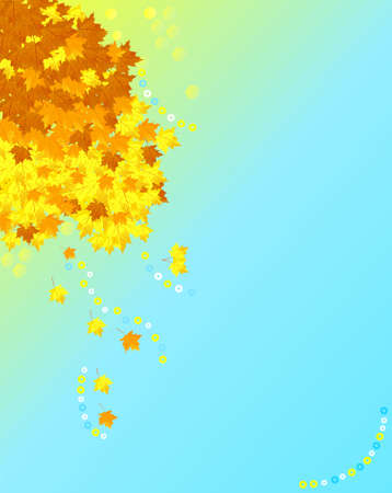 Sun background with a autumnal maple leavesのイラスト素材