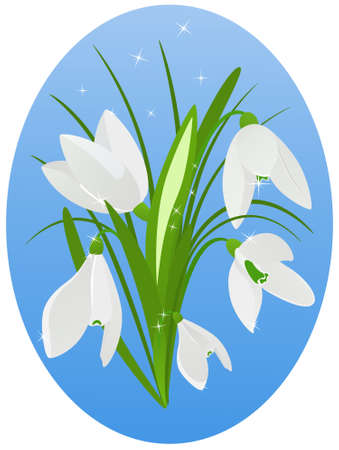 Beautiful snowdrop on blue backgroundのイラスト素材