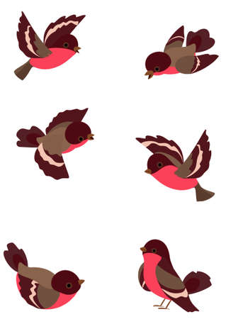 Set funny robin birds, vector illustration, object isolatedのイラスト素材