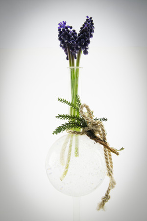 small purple flowers in crystal vaseの写真素材