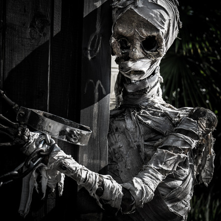 Mummified corpse wrapped in a bandage worn down and rumpled.の写真素材