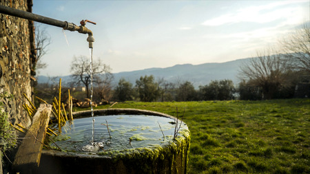 A trickle of water falls into a round tub of old mossy stone.の写真素材