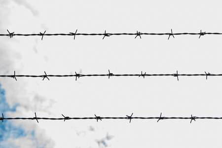 Barbed wire in backlight arranged in parallel lines.の写真素材