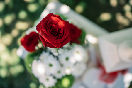 Background with flowers and objects that make the colors of the Italian flag.の写真素材