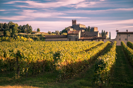 view of Soave (Italy) surrounded by vineyards that produce one of the most appreciated Italian white wines, and its famous medieval castle.のeditorial素材