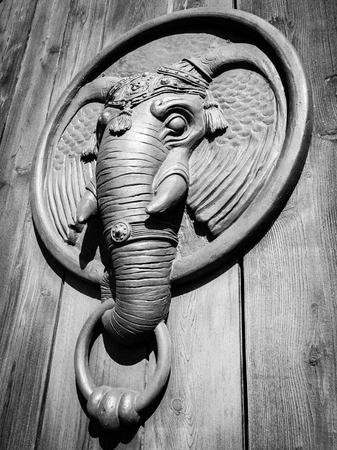 Antique door knocker shaped like elephant's head.の写真素材