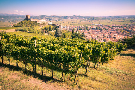 view of Soave (Italy) surrounded by vineyards that produce one of the most appreciated Italian white wines, and its famous medieval castle.の写真素材