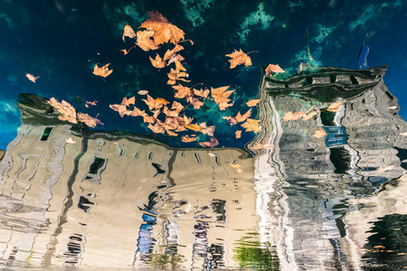 Dry leaves floating on the water reflecting an old scaligero castle on Lake Garda, Italy.の写真素材