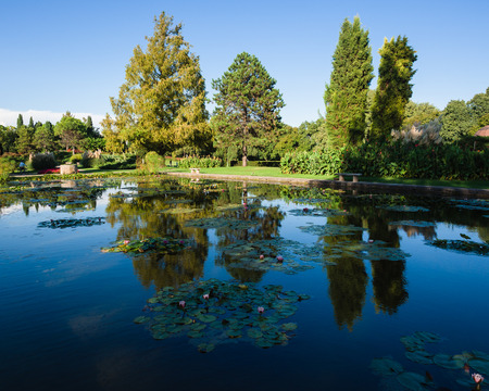 Large pond with water lilies in an old italian public park.