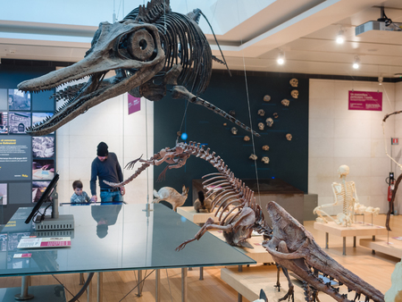 Trento, Italy - November 19, 2017: The "MUSE" is the Museum of Science in Trento designed by Italian architect Renzo Piano.のeditorial素材