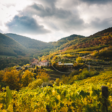 Very small village among the green Italian hills.の写真素材