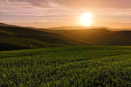 Tuscan landscape at sunset. Sinuous green hills at dusk.
