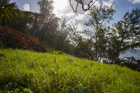 Sunrise near hana hawaiiの写真素材