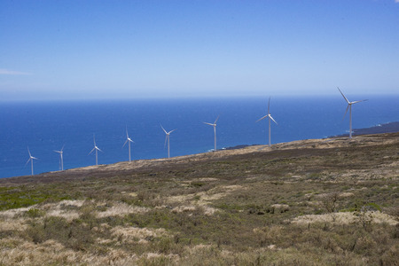 Maui Windmills Along the Coastの写真素材